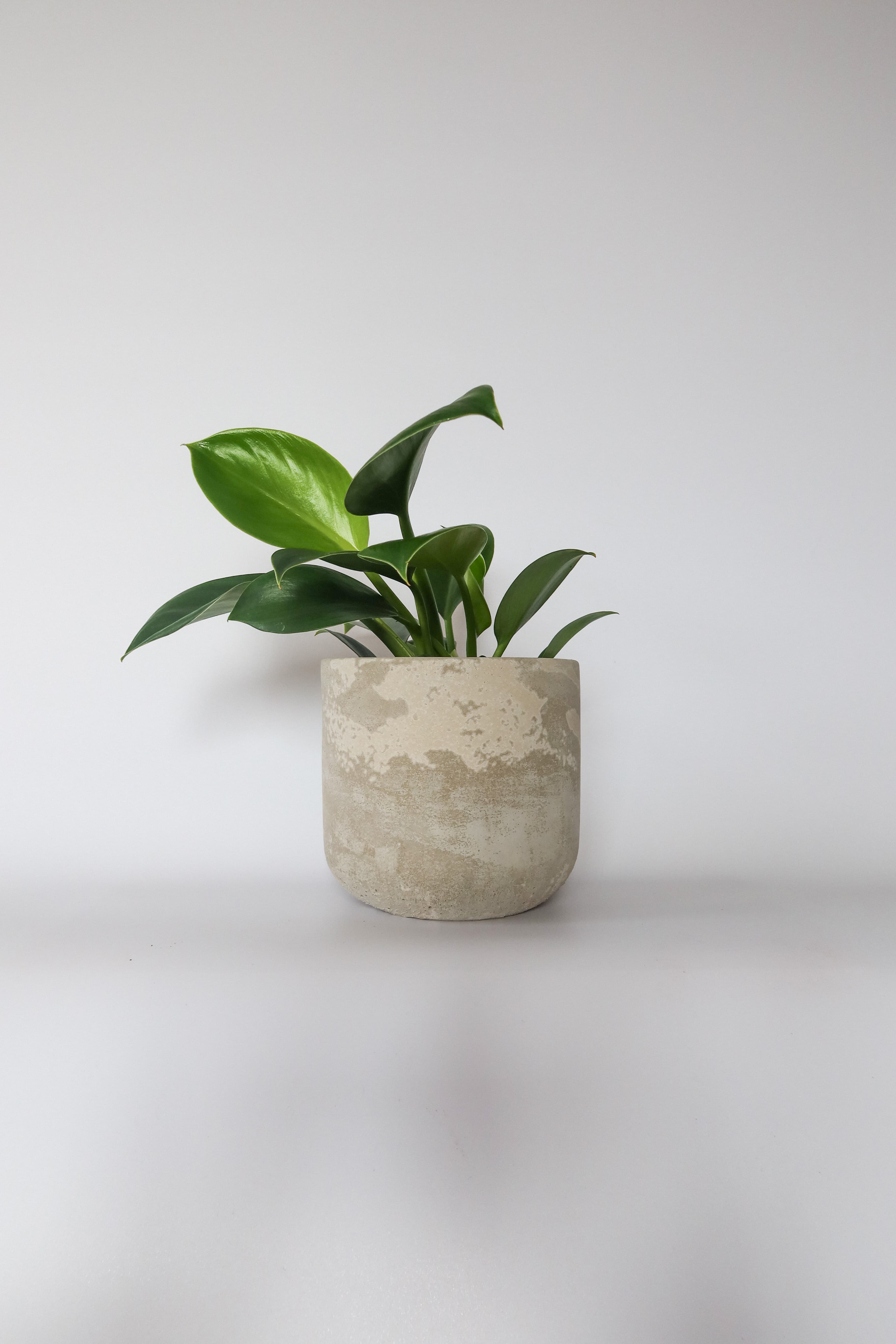 Osłonka betonowa Rustic — naturalna patyna, handmade, premium
